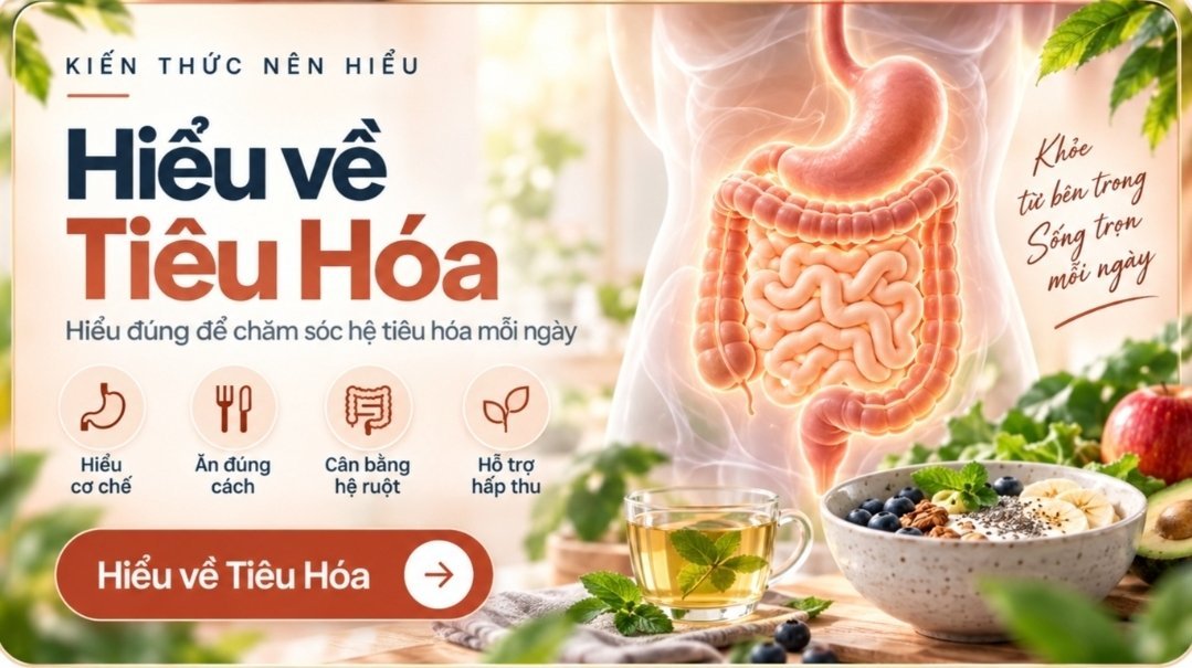 Hiểu về Hệ Tiêu Hóa