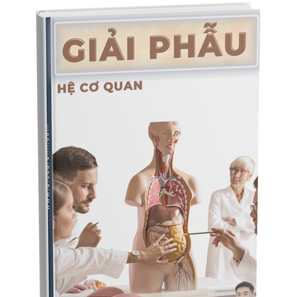 Sách giải phẫu cơ bản