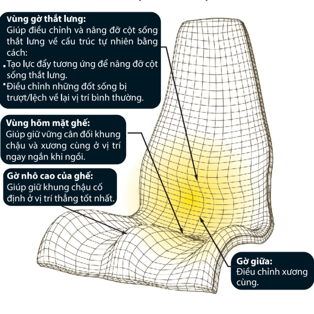 Hệ ghế
