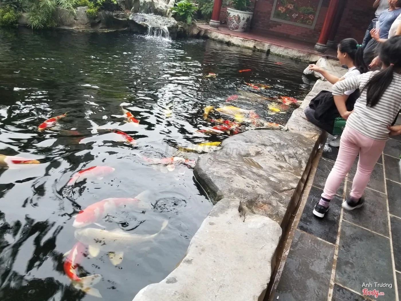 Khách check-in bên cầu gỗ hồ cá