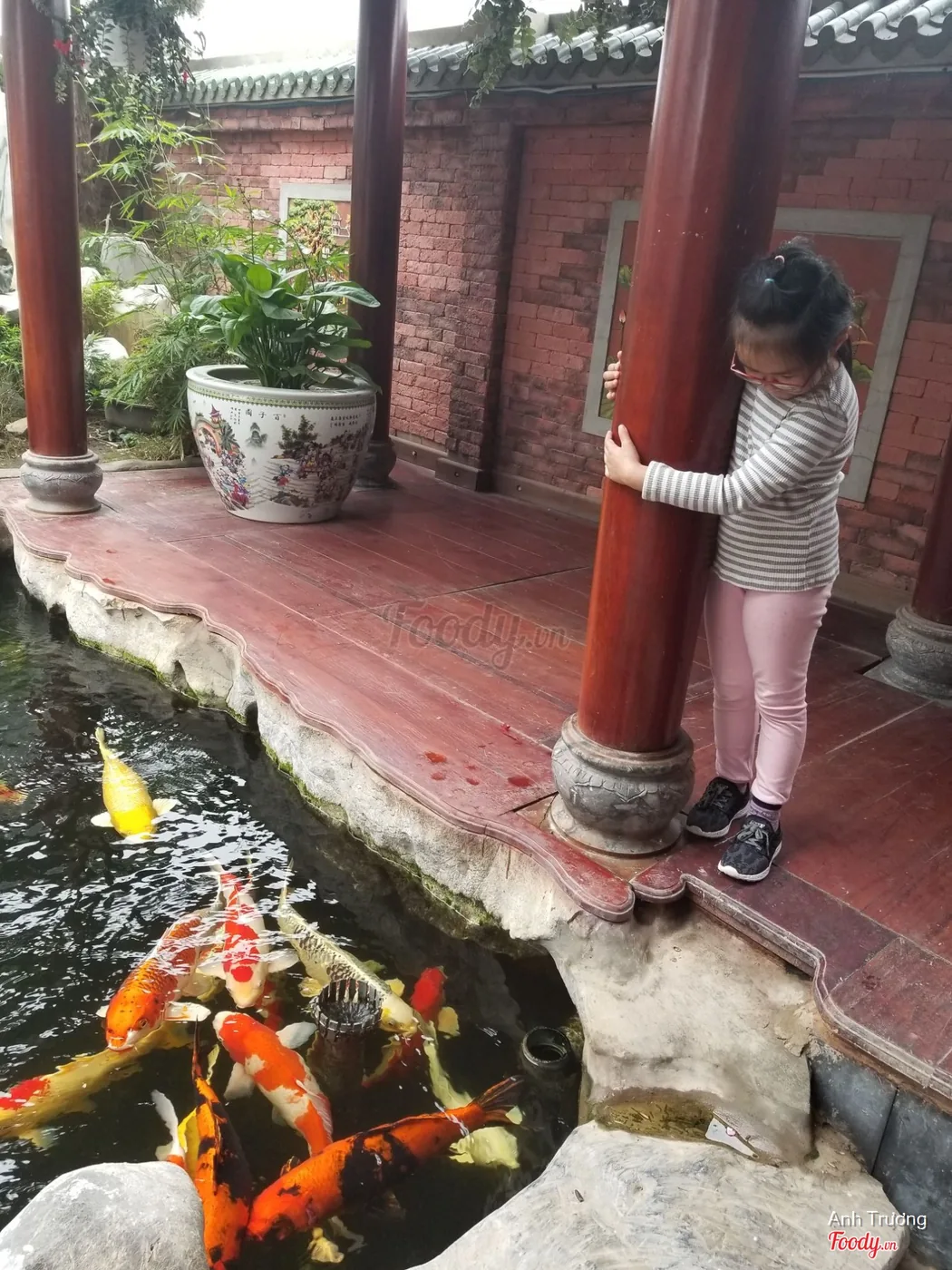 Trẻ em thích thú ngắm và cho cá Koi ăn