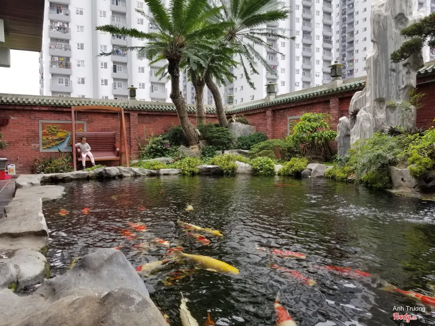 Hồ cá koi và thác nước non bộ