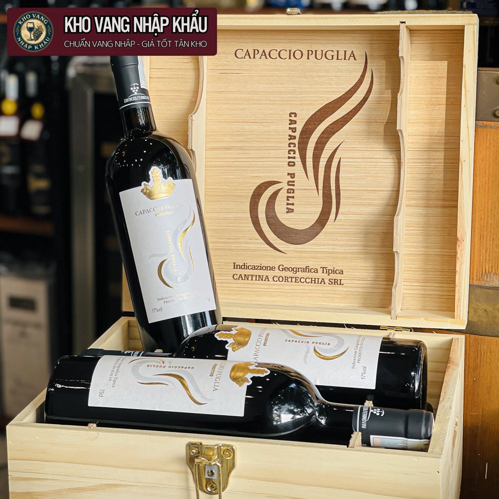 Vang Ý Capaccio Puglia Primitivo 17%