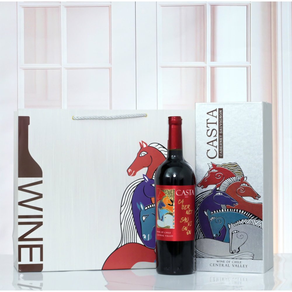 Vang Chile Casta Cabernet Sauvignon Central Valley 13.5%