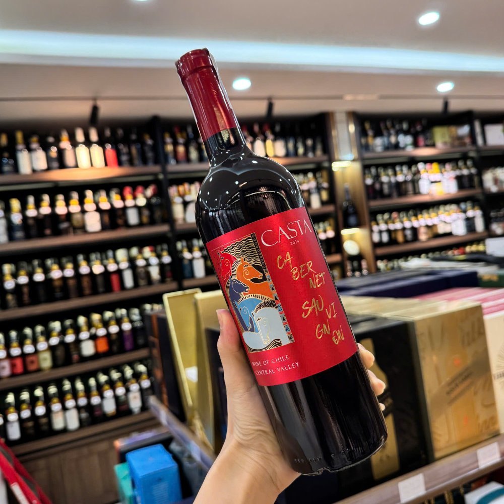 Vang Chile Casta Cabernet Sauvignon Central Valley 13.5%