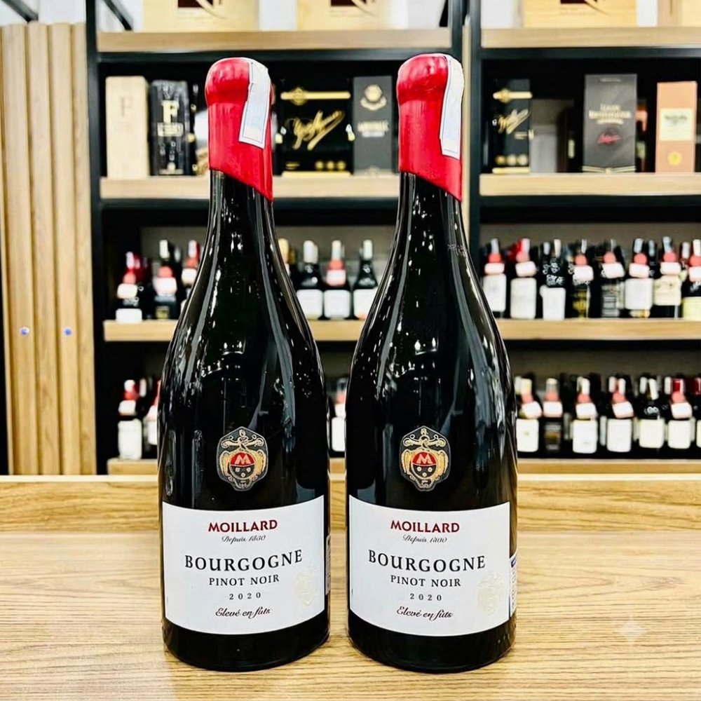 Vang Pháp Moillard Bourgogne Eleve En Futs 13%