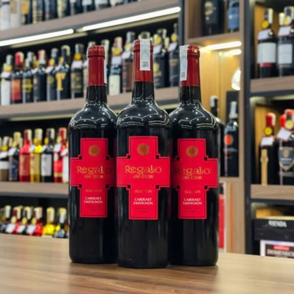 Vang Chile Regalo de Dios Selected 14%