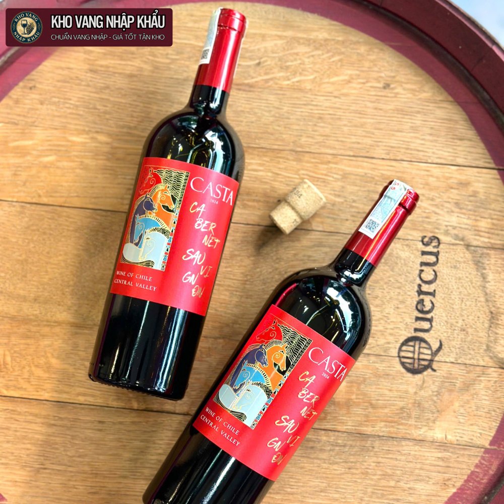 Vang Chile Casta Cabernet Sauvignon Central Valley 13.5%