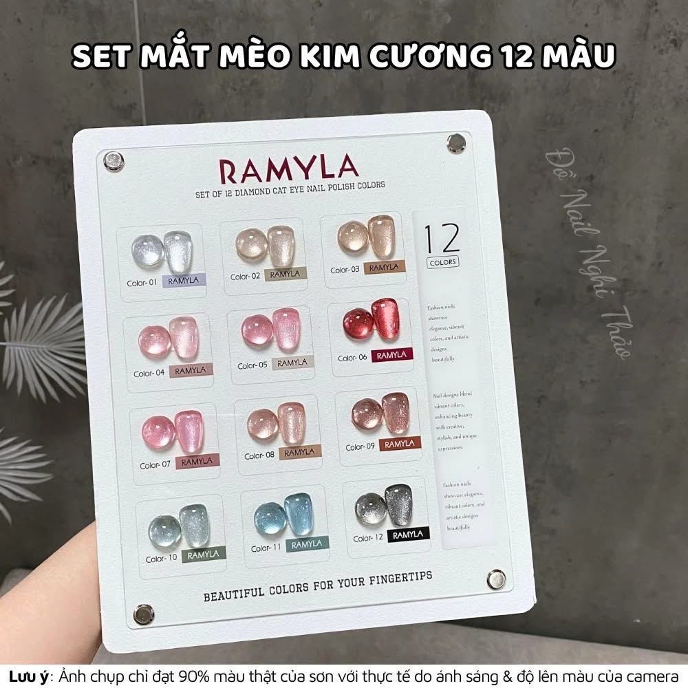Màu 01